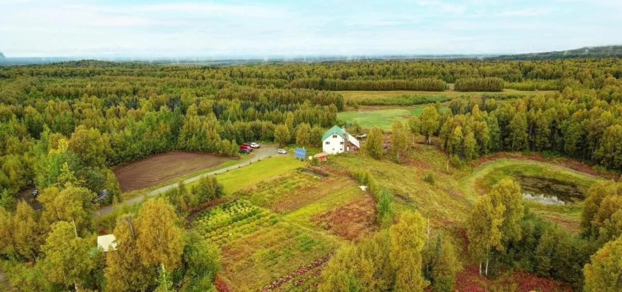 Falcon'S Nest Bed And Breakfast Talkeetna Exterior photo