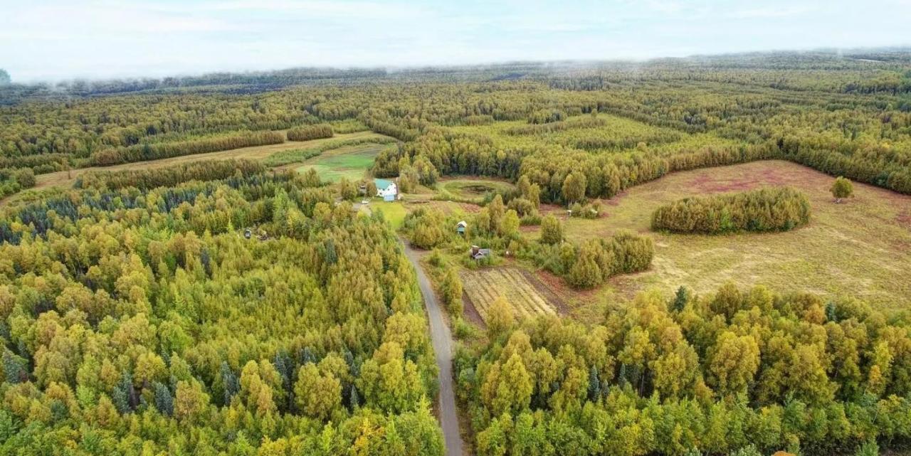 Falcon'S Nest Bed And Breakfast Talkeetna Exterior photo