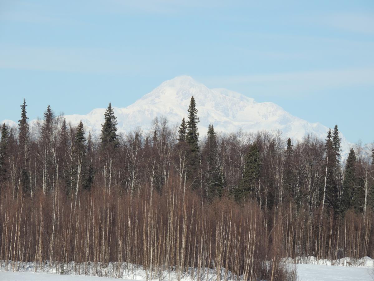 Falcon'S Nest Bed And Breakfast Talkeetna Exterior photo