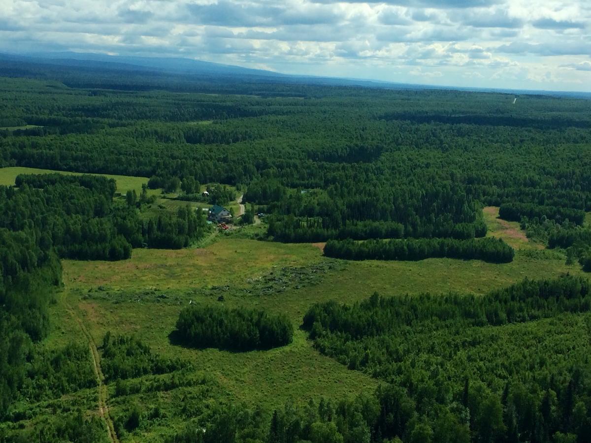 Falcon'S Nest Bed And Breakfast Talkeetna Exterior photo